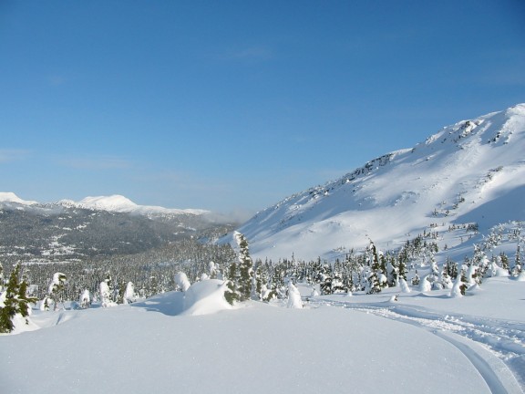 576x432 pixels (50K)